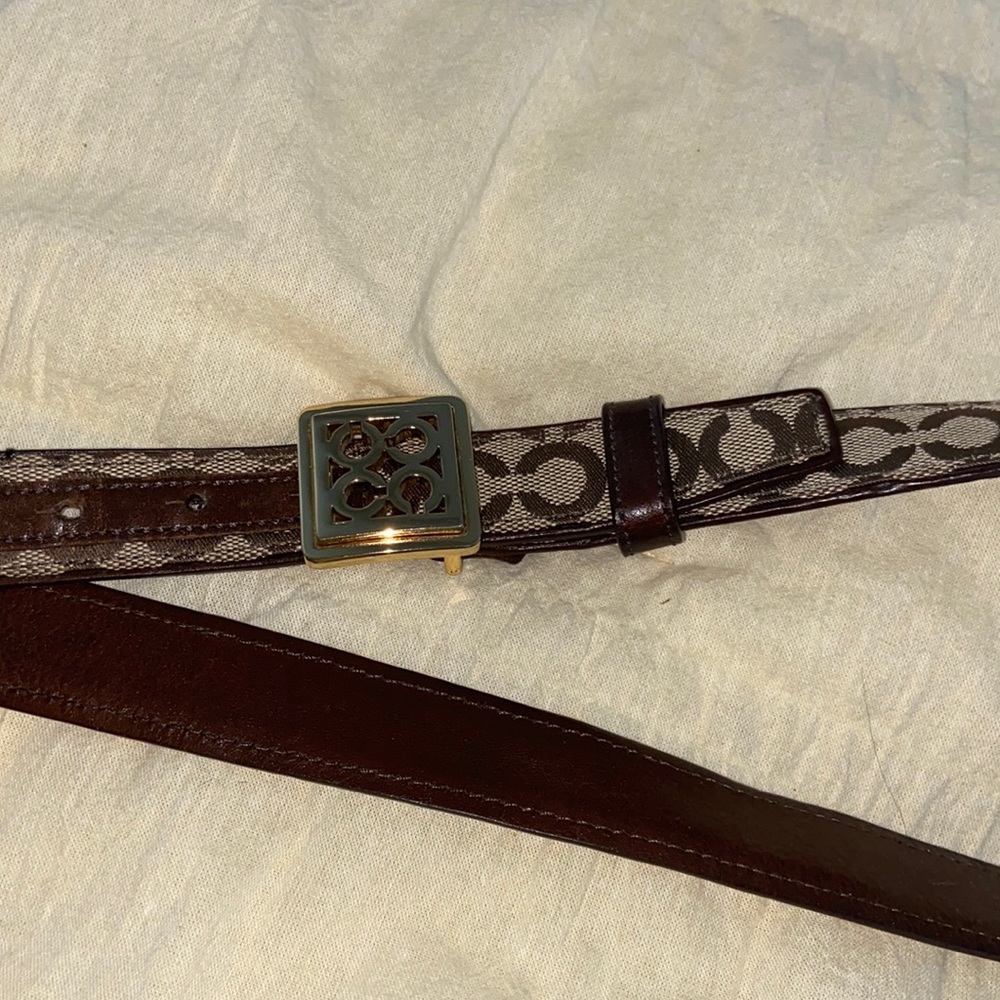 Coach brown belt